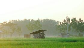 Begin your study trip with Vietnam’s tranquil ambiance